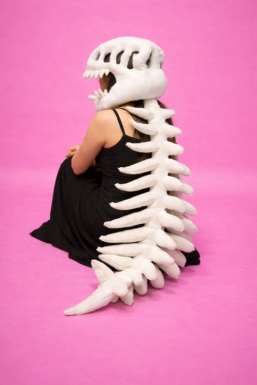 Dinosaur Plush Costume